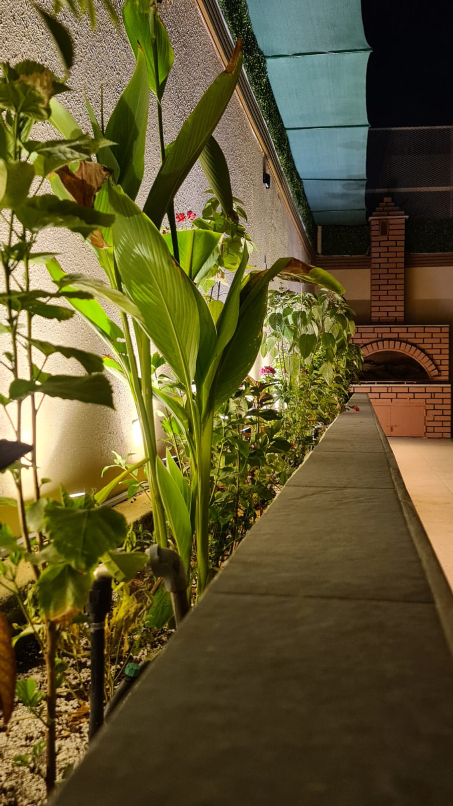 صورة الاستراحة 2